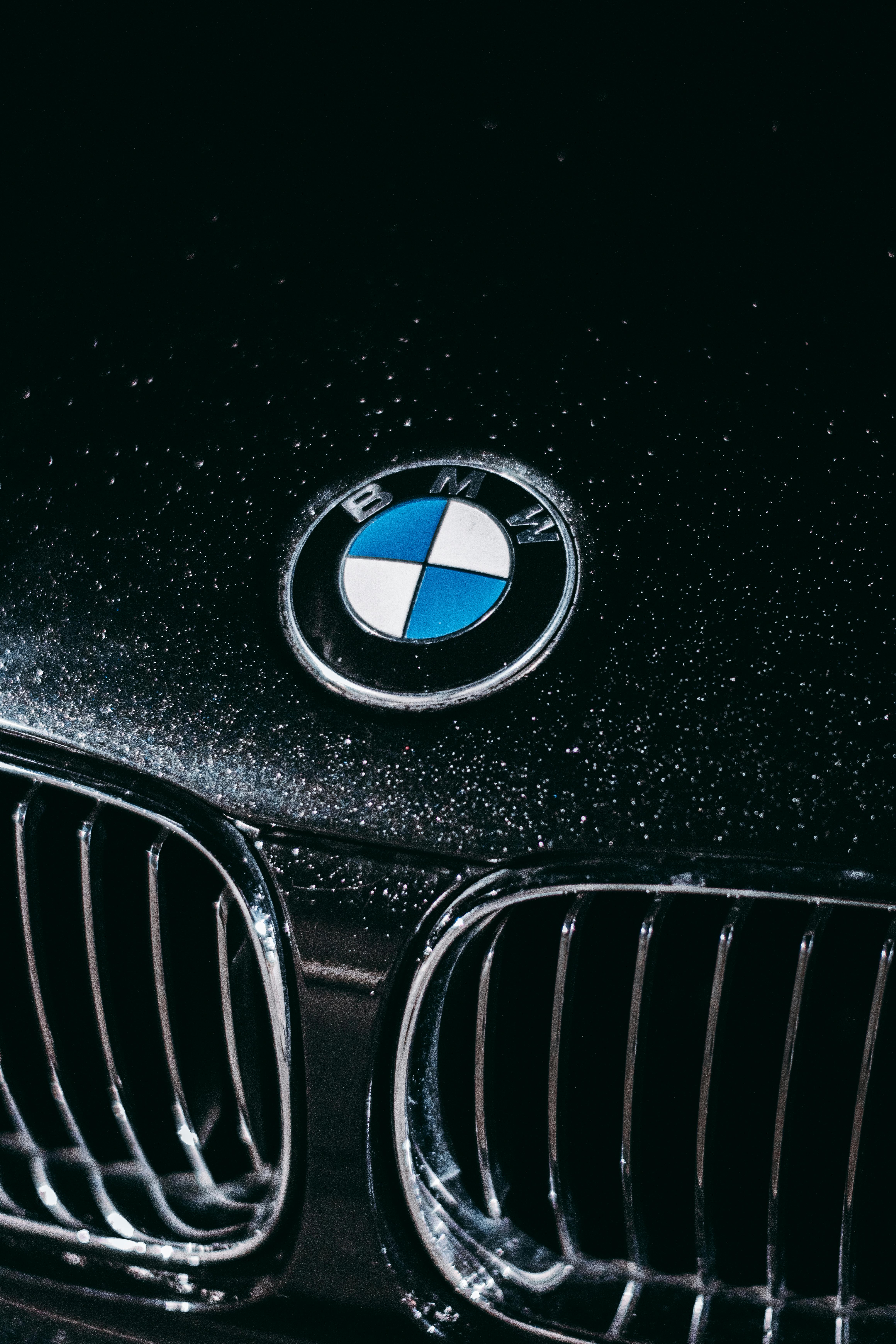 BMW logo